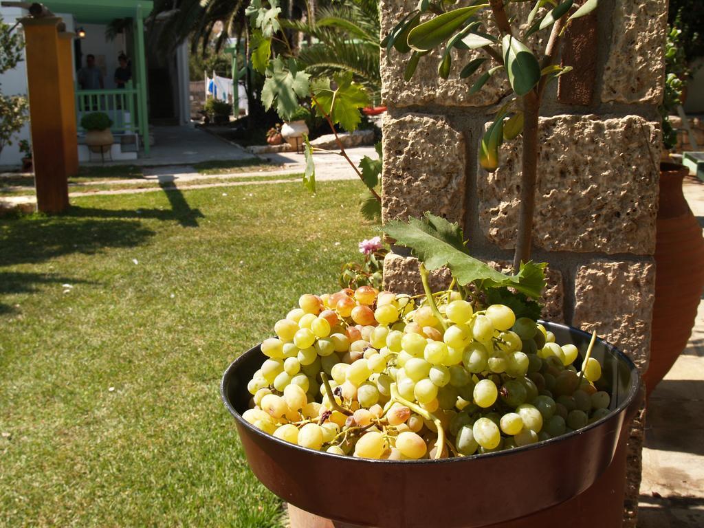 Pegasus Studios & Apartments Skyros Zewnętrze zdjęcie